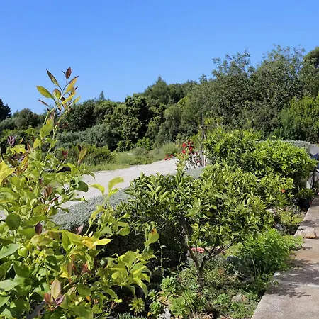 Apartman With Parking Space Lumbarda, Korcula - 4418 *